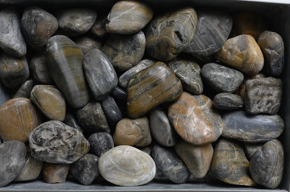 High Polish Gold Tiger Stripe Pebble – Premium Pebbles